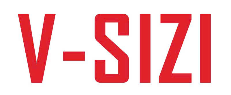 V-SIZI Logo